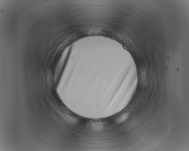 X0000072950228200608181414