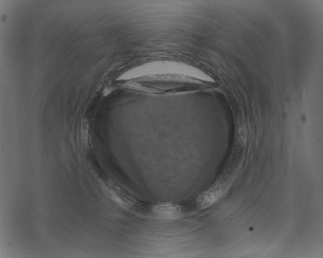 X0000072950231200608181414