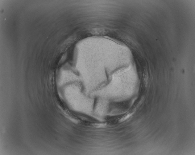X0000072950233200608181414