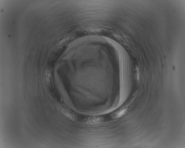 X0000072950235200608181414