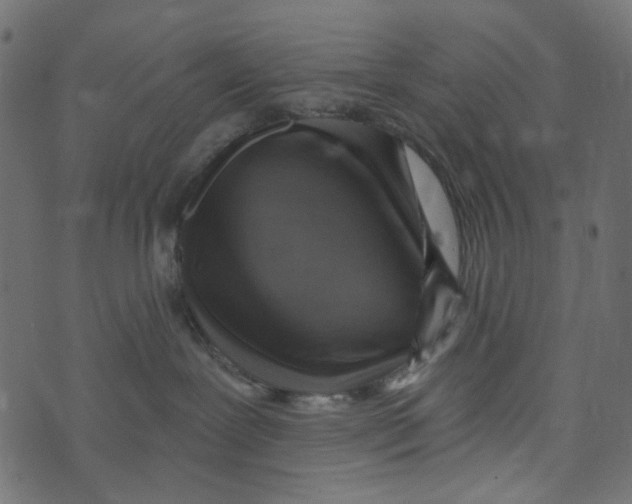 X0000072950239200608181414