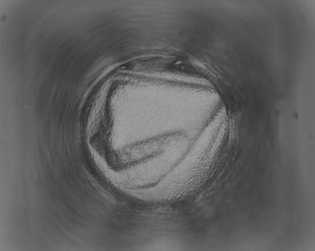 X0000072950243200608181413