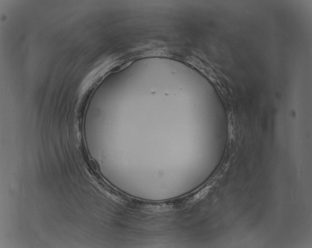 X0000072950245200608181413