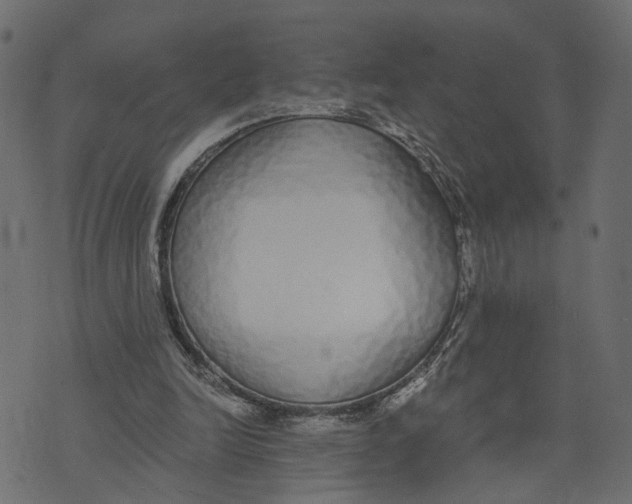 X0000072950246200608181413