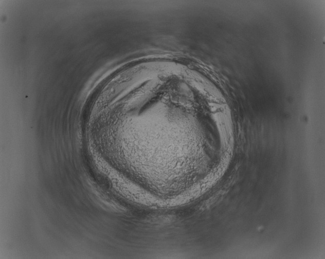X0000072950247200608181413