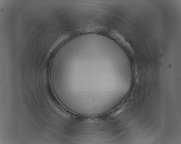 X0000072950250200608181413
