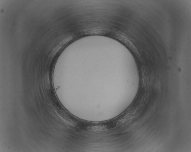X0000072950251200608181413