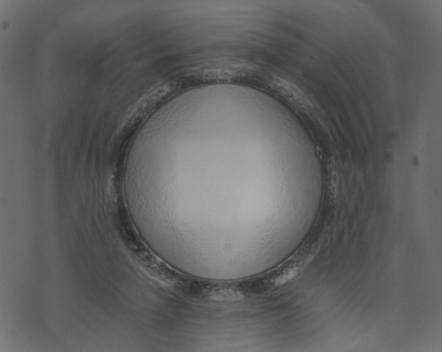 X0000072950258200608181413