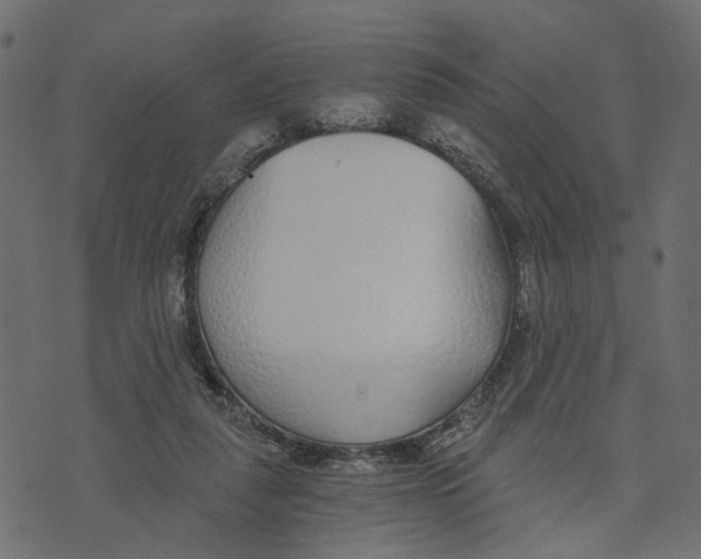 X0000072950259200608181413