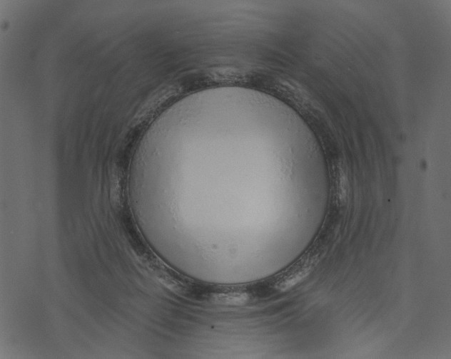 X0000072950266200608181414