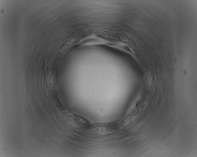 X0000072950276200608181414