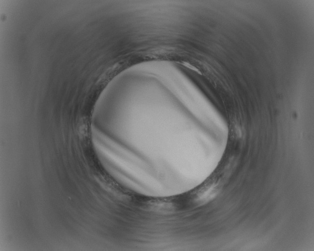 X0000072950284200608181414