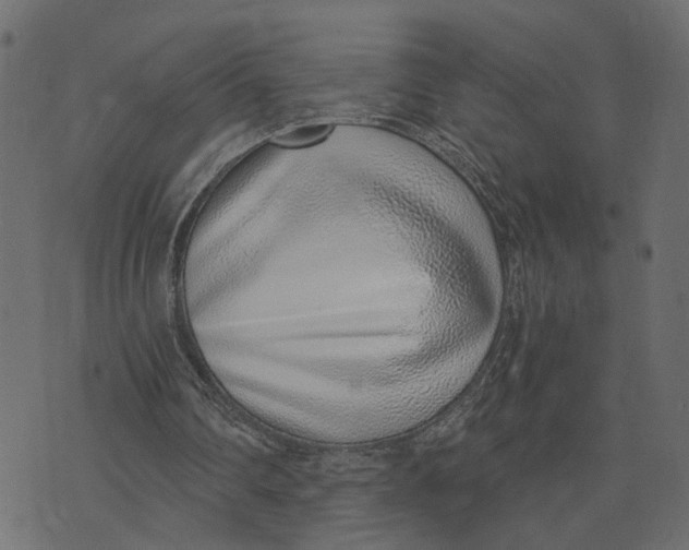 X0000072950290200608181413