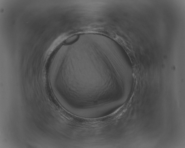 X0000072950295200608181413