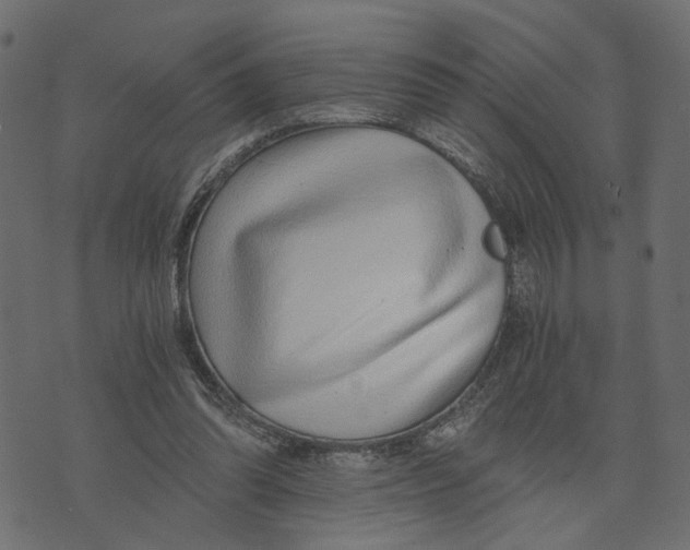 X0000072950302200608181413