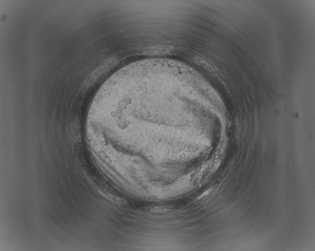 X0000072950303200608181413