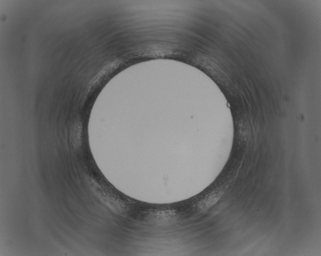 X0000072950304200608181413