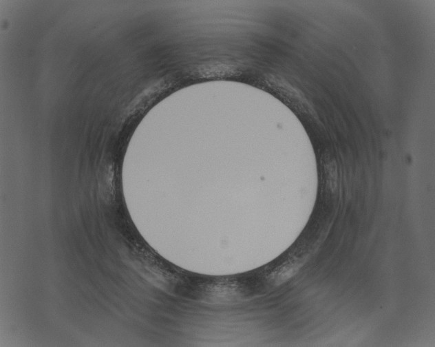 X0000072950308200608181413