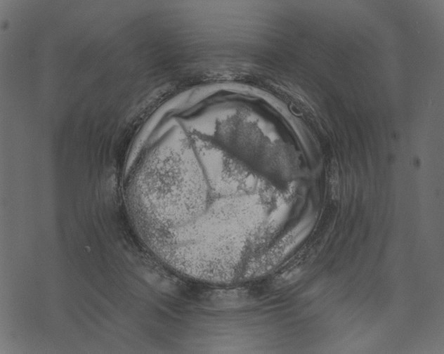 X0000072950314200608181413
