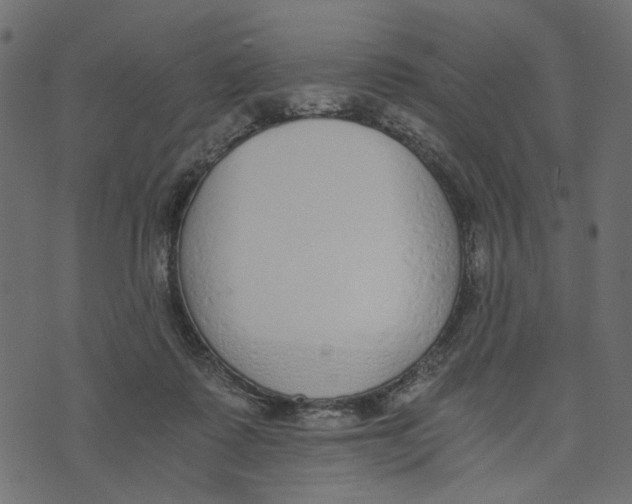 X0000072950315200608181413
