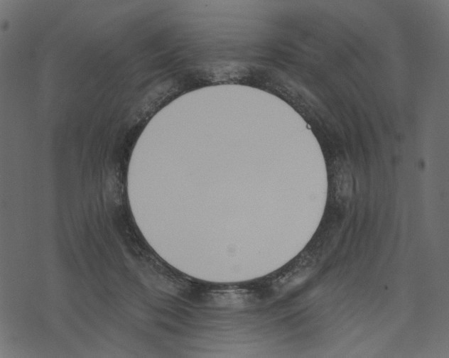 X0000072950316200608181413