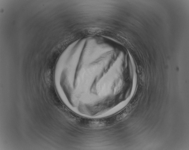 X0000072950319200608181413