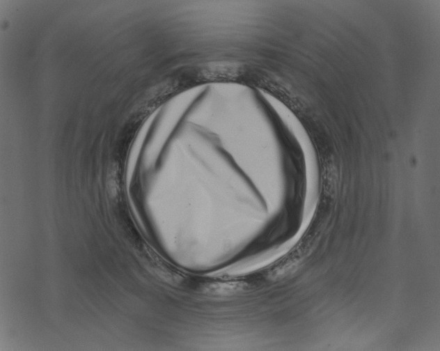 X0000072950323200608181413