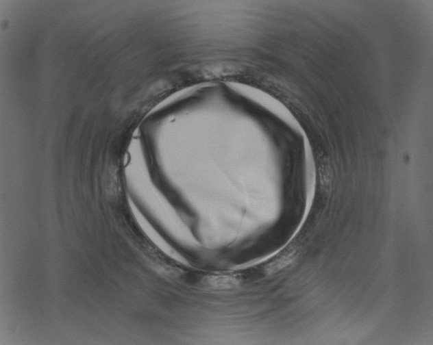 X0000072950327200608181412