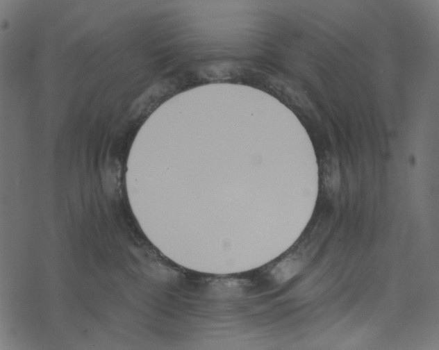 X0000072950332200608181412