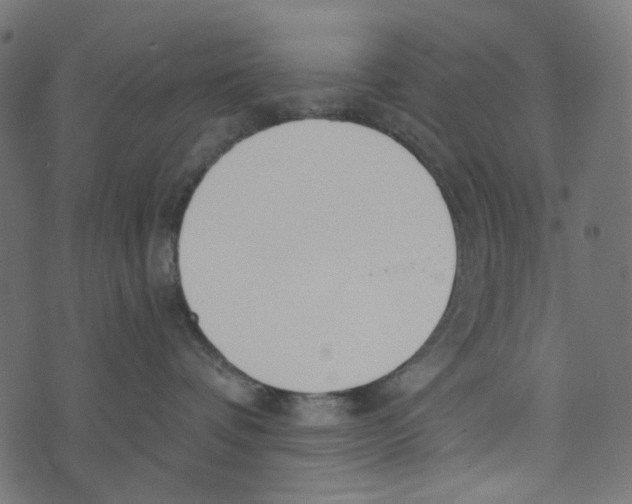 X0000072950336200608181412