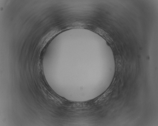 X0000072950338200608181412