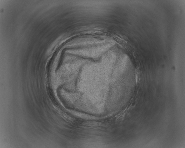 X0000072950339200608181412