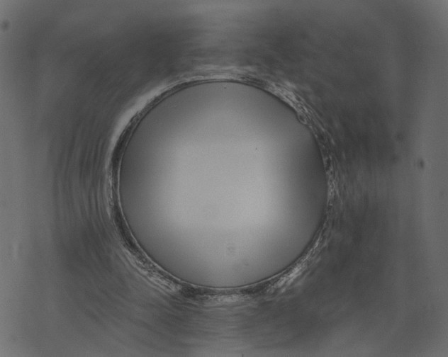 X0000072950342200608181412