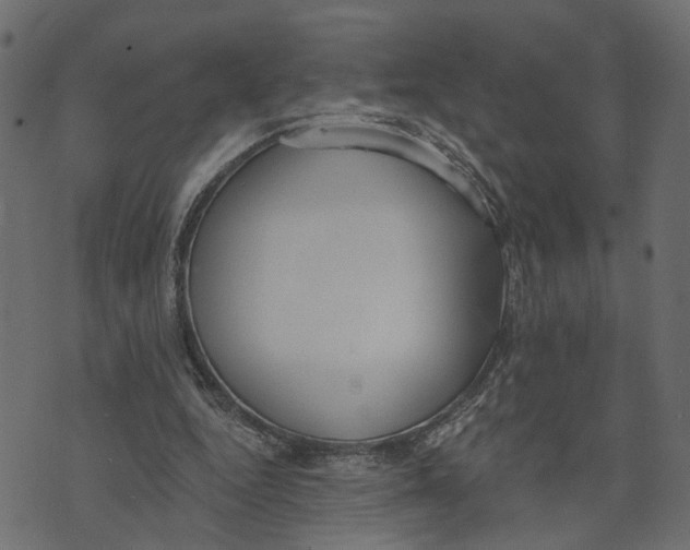 X0000072950344200608181412