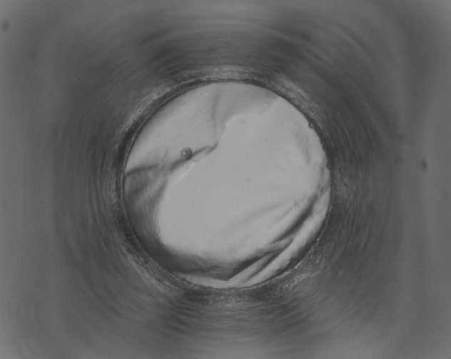 X0000072950347200608181412