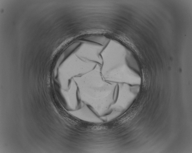 X0000072950348200608181412