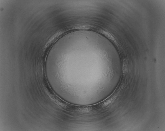 X0000072950349200608181412