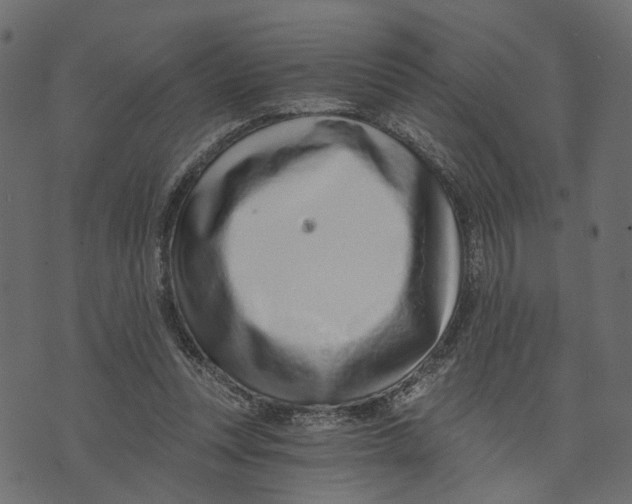 X0000072950351200608181412