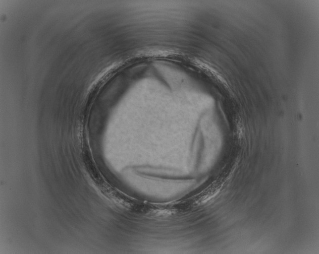 X0000072950352200608181412