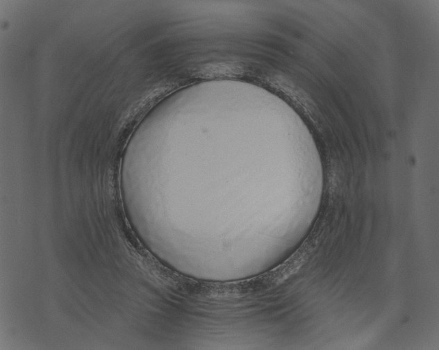 X0000072950353200608181412