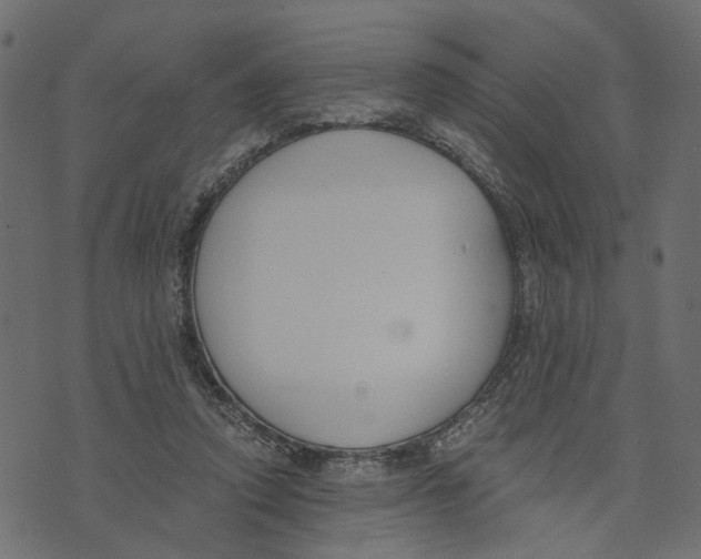 X0000072950354200608181412
