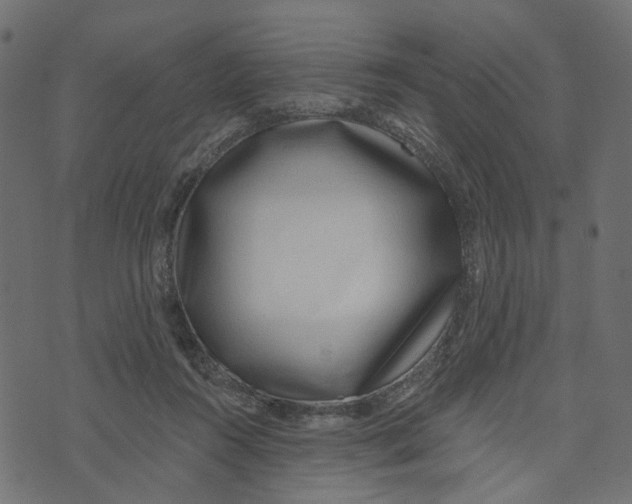 X0000072950360200608181412