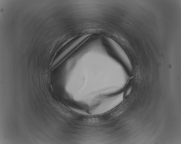 X0000072950361200608181412