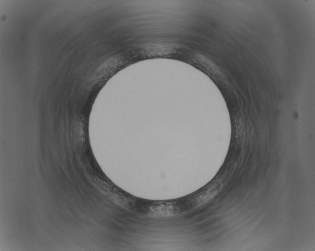 X0000072950362200608181412