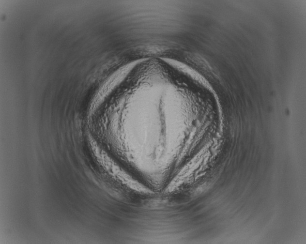 X0000072950366200608181412