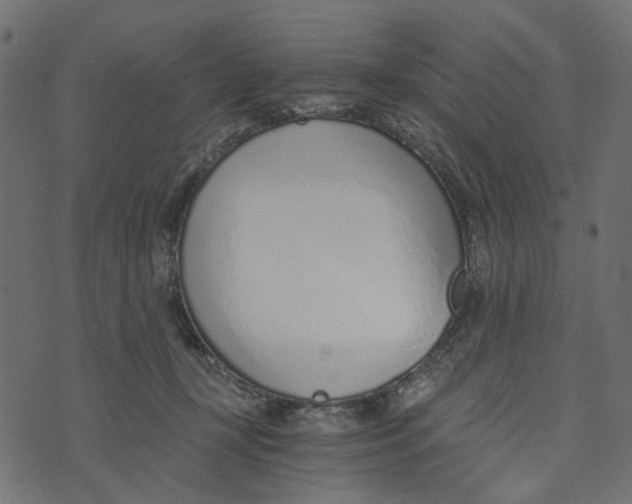 X0000072950367200608181412
