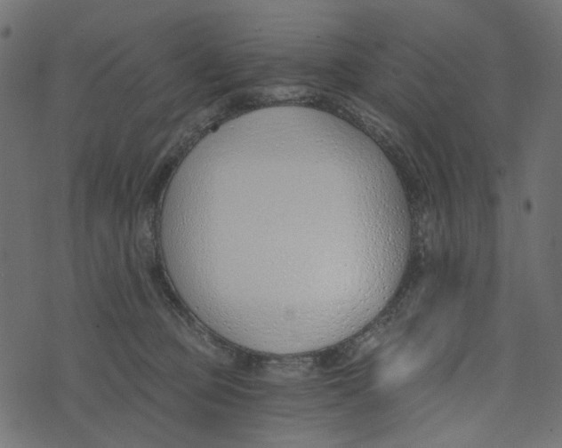 X0000072950373200608181412