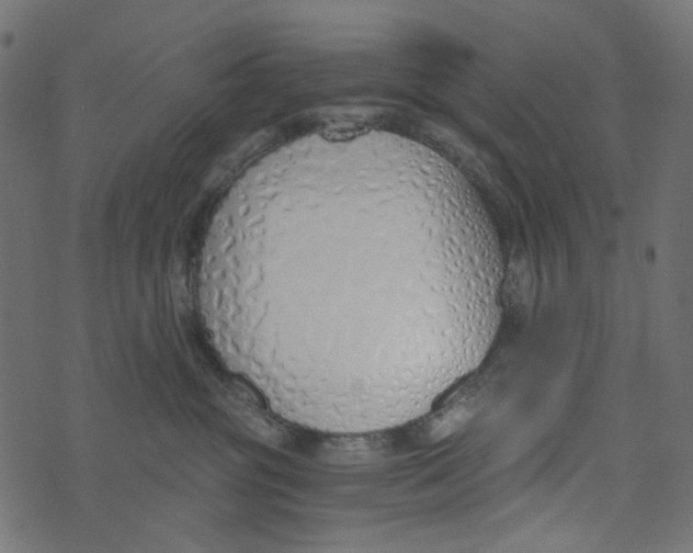 X0000072950381200608181412