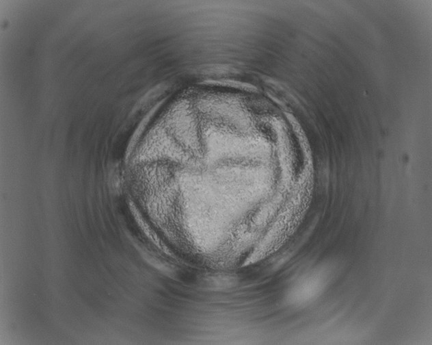 X0000072950383200608181412