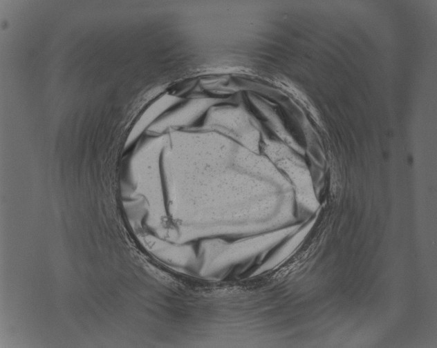 X0000072950385200608181412